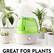 ZULAY HOME - A GREAT FOR PLANTS