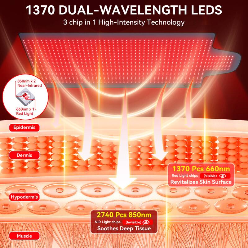1370 DUAL-WAVELENGTH LEDs  
3 chip in 1 High-Intensity Technology  
850nm x 2 Near-Infrared  
660nm x 1 Red Light  
Epidermis Dermis  
1370 Pcs 660nm Red Light chips (Visible)  
Revitalizes Skin Surface  
Hypodermis Muscle  
2740 Pcs 850nm NIR Light chips (Invisible)  
Soothes Deep Tissue