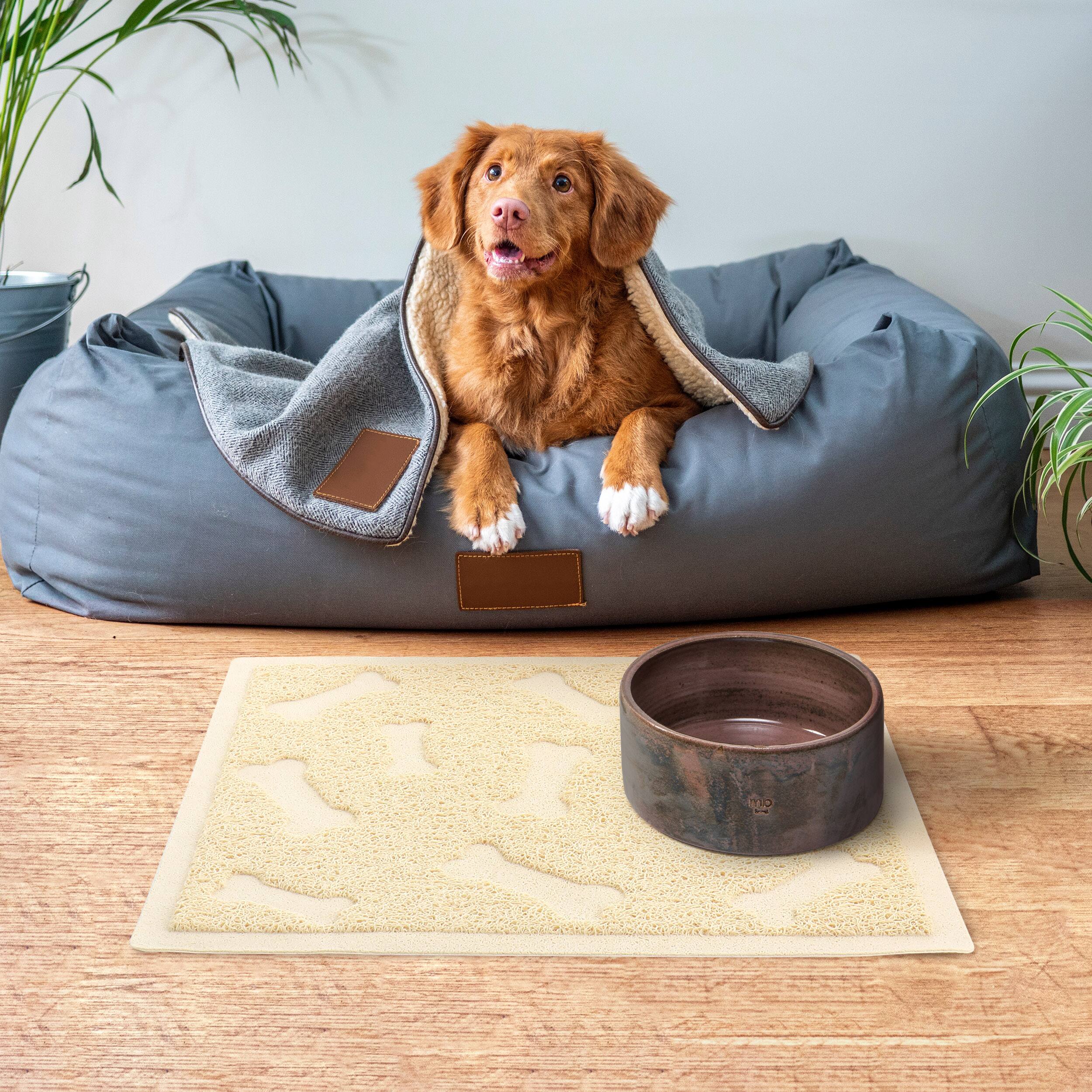 Alt View 4. Gibson - Gibson Everyday Pet Elements 17.7 x 15.75 Inch Dog Bone Placemat in Tan - Tan.