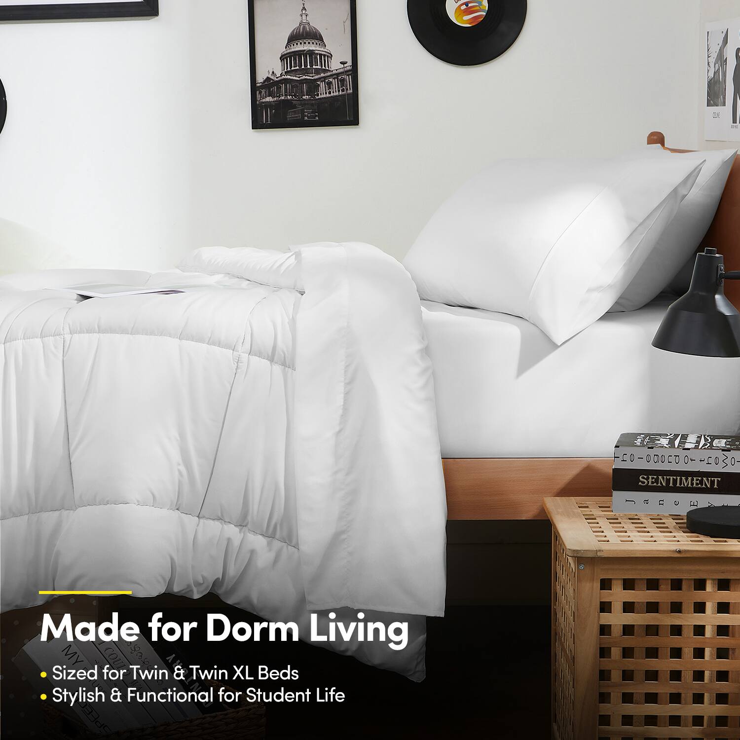 Made for Dorm Living

- Sized for Twin & Twin XL Beds
- Stylish & Functional for Student Life