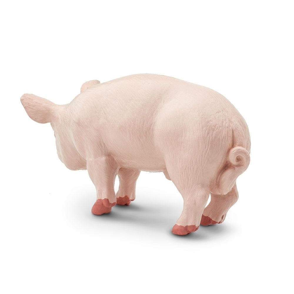 Back. Safari Ltd. - Boar Toy Figurine.