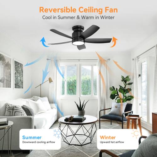 Reversible Ceiling Fan  
Cool in Summer & Warm in Winter  

Summer: Downward cooling airflow  
Winter: Upward hot airflow