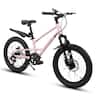 Anysun - 20 Inch Mountain Bike for Adults & Teens - 7 Speed, Front Suspension, Dual Disc Brakes, Carbon Steel Frame - White