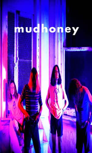 Mudhoney - Mudhoney   - CASSETTES price history on PriceWatchPro