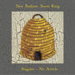New Radiant Storm King - Singular, No Article - VINYL LP