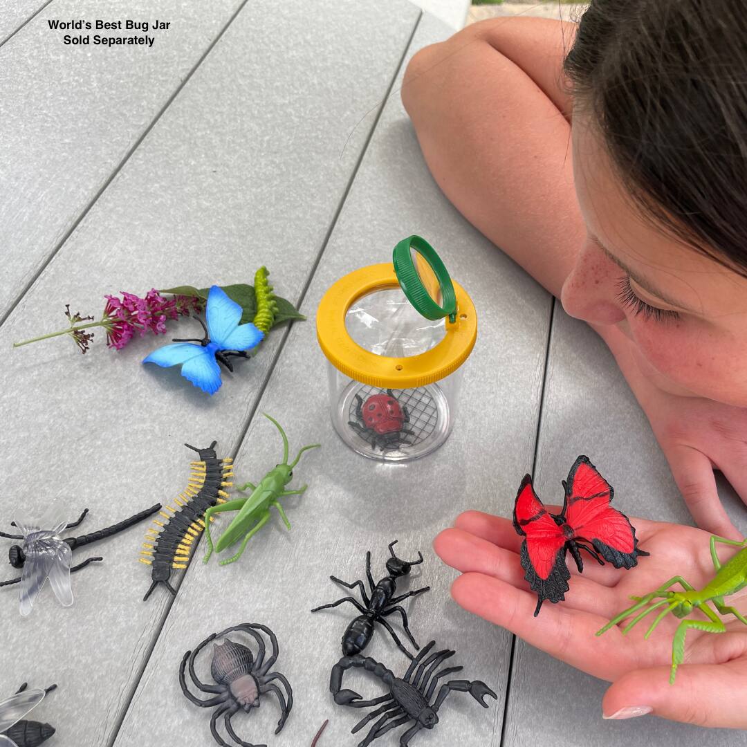 World's Best Bug Jar Sold Separately