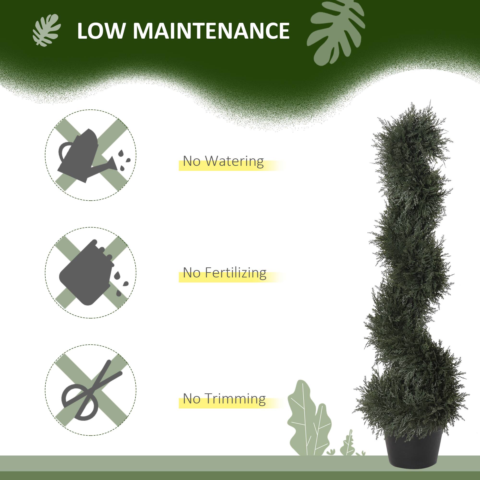 LOW MAINTENANCE

- No Watering
- No Fertilizing
- No Trimming