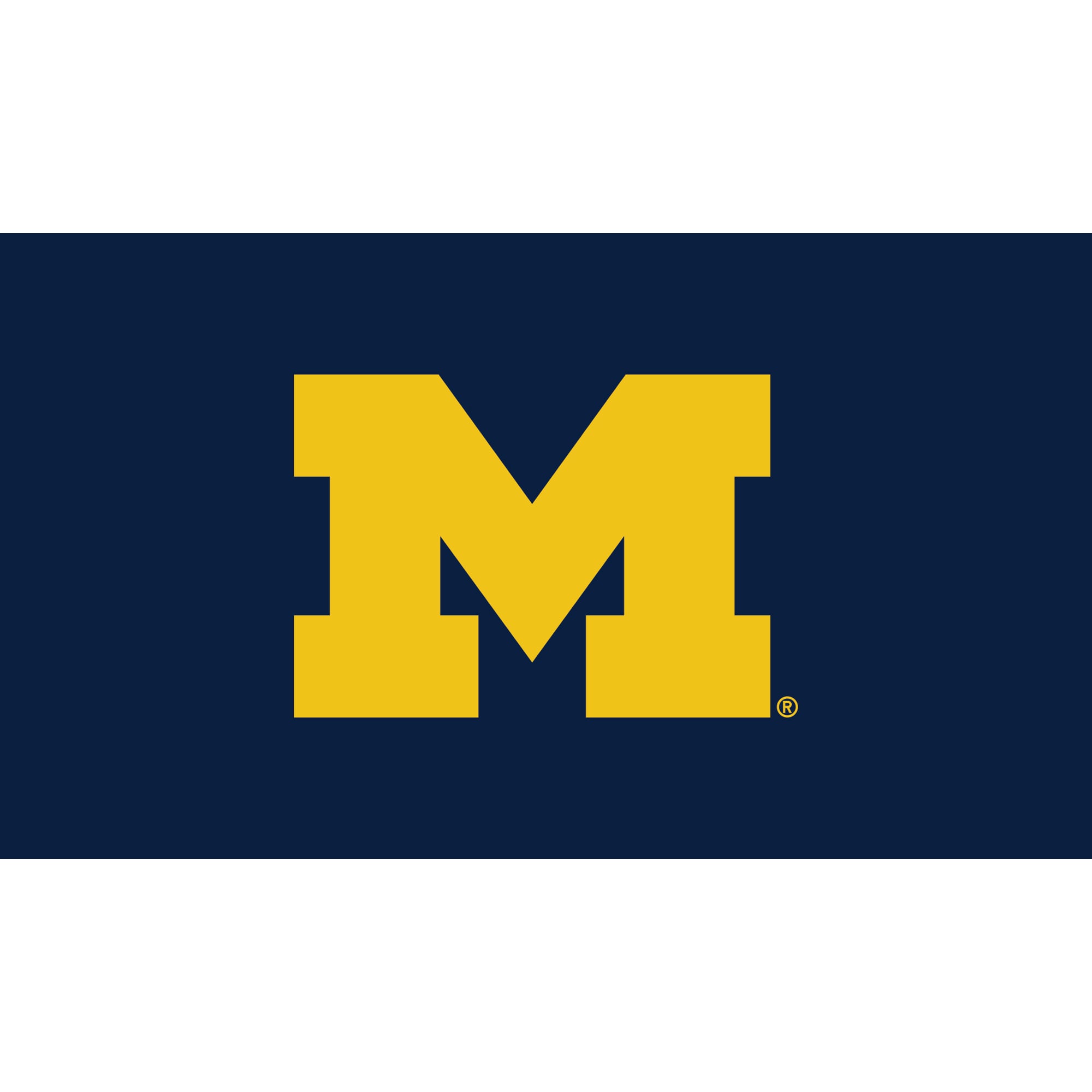 Evergreen Enterprises - Michigan Wolverines 28" x 16" Turf Mat - Multicolor