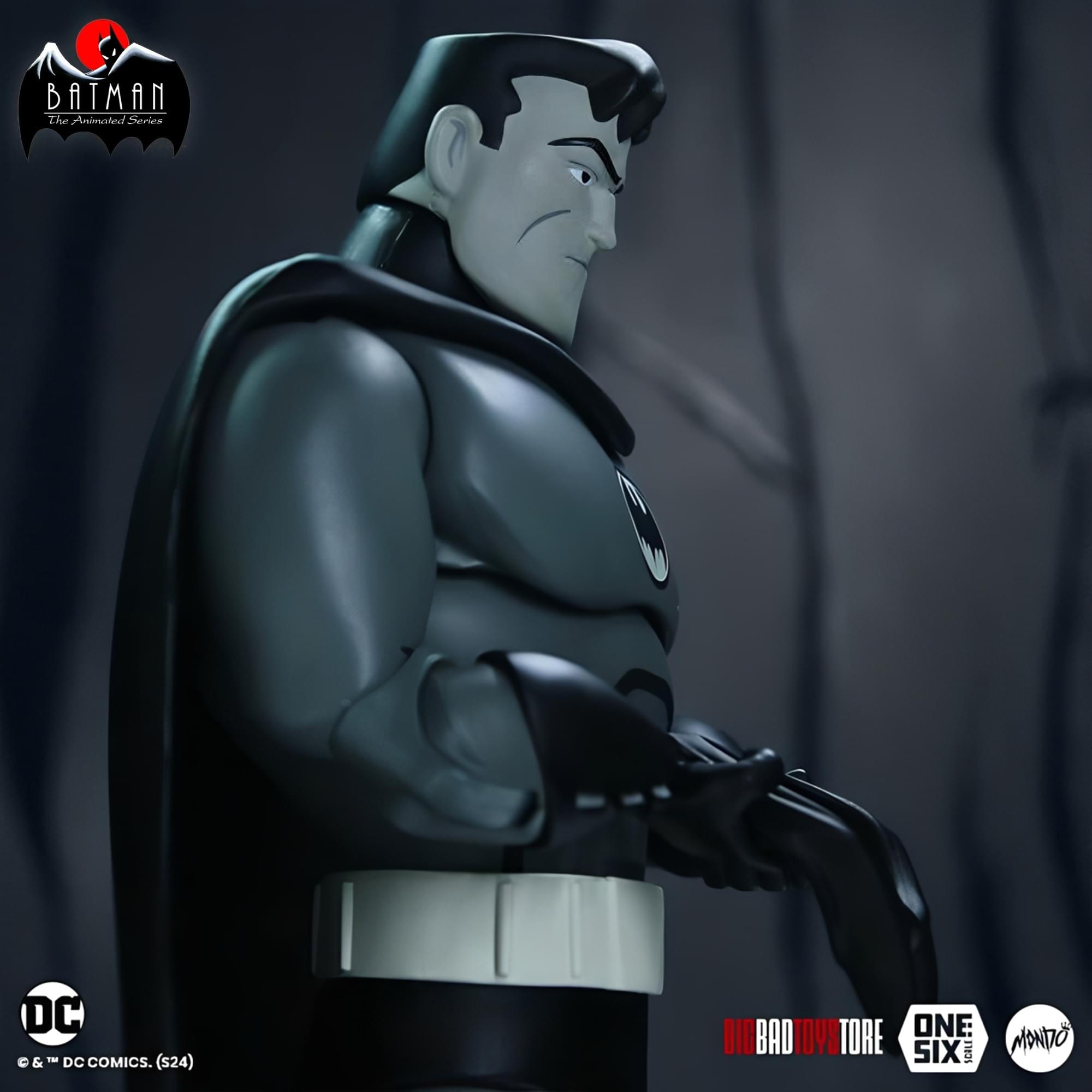 BATMAN The Animated Series DC & DC COMICS. (S24) BIO BAD TOYS STORE ONE SIX MONITO