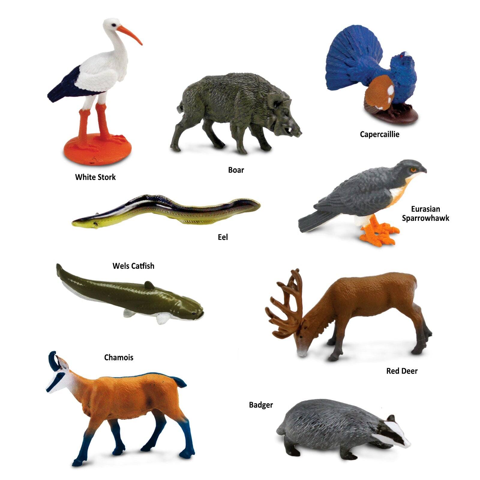 Capercaillie, White Stork, Boar, Eurasian Sparrowhawk, Eel, Wels Catfish, Chamois, Red Deer, Badger