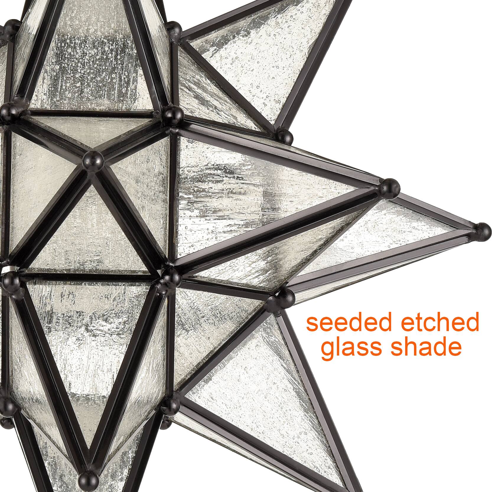 seeded etched glass shade