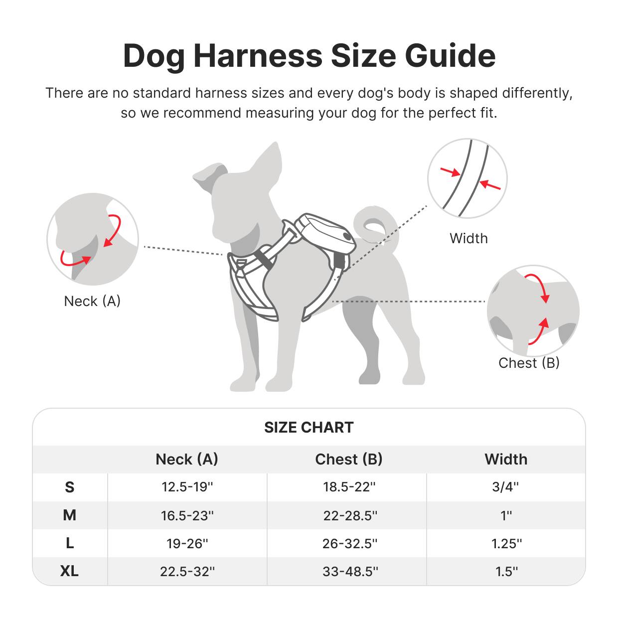Dog Harness Size Guide

There are no standard harness sizes and every dog's body is shaped differently, so we recommend measuring your dog for the perfect fit.

Neck (A)  
Chest (B)  
Width

SIZE CHART

| Size | Neck (A) | Chest (B) | Width |
|------|---------|----------|-------|
| S    | 12.5-19" | 18.5-22"  | 3/4"  |
| M    | 16.5-23" | 22-28.5"  | 1"    |
| L    | 19-26"   | 26-32.5"  | 1.25" |
| XL   | 22.5-32" | 33-48.5"  | 1.5"  |