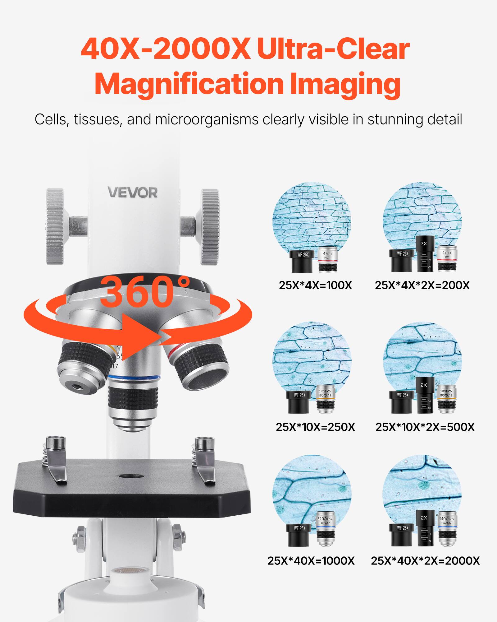 40X-2000X Ultra-Clear Magnification Imaging  
Cells, tissues, and microorganisms clearly visible in stunning detail  

VEVOR  

25X*4X=100X  
25X*4X*2X=200X  
25X*10X=250X  
25X*10X*2X=500X  
25X*40X=1000X  
25X*40X*2X=2000X