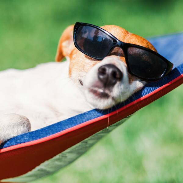 Alt View 1. Lavish Home - Foldable Portable Hammock with Stand for Outside Travel.