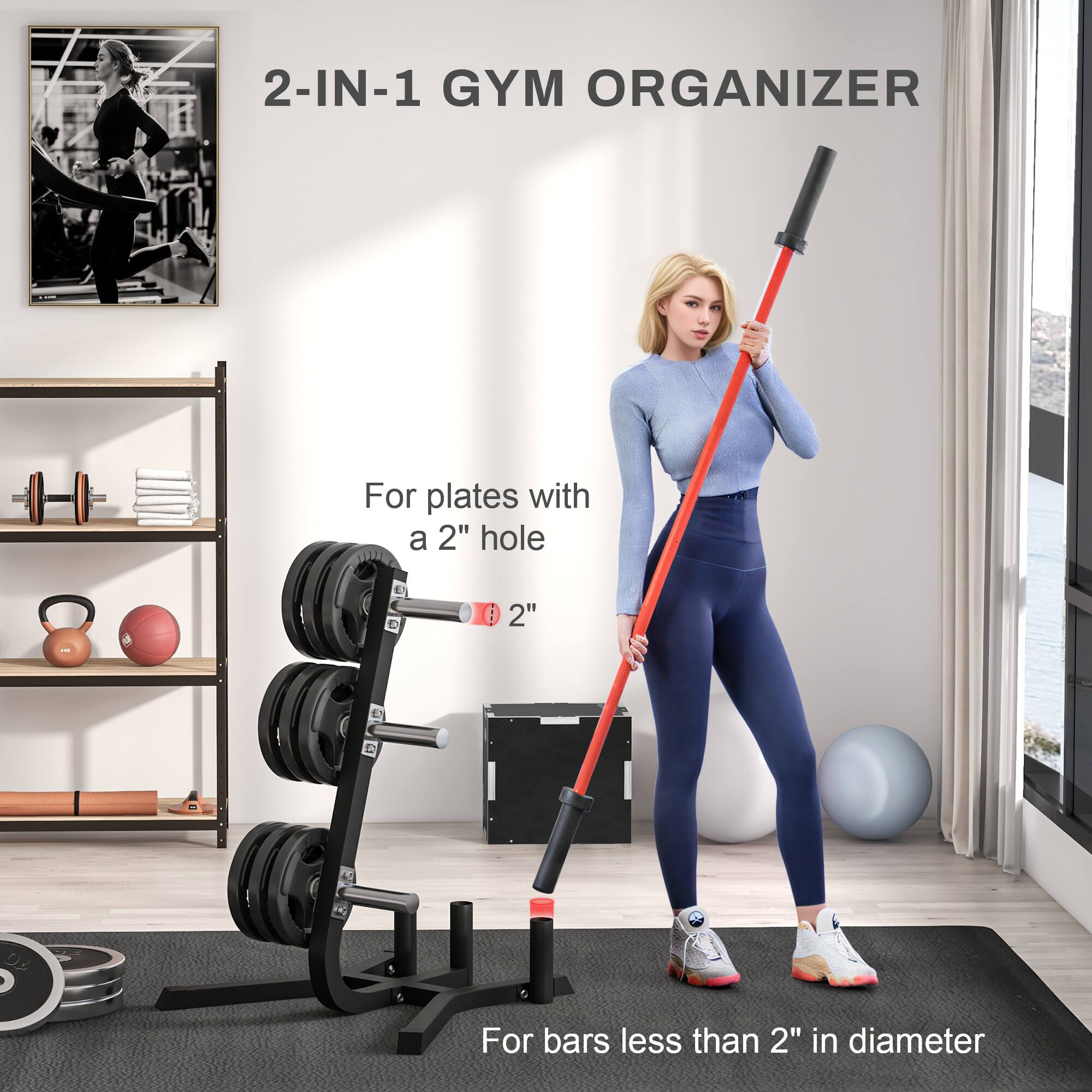2-IN-1 GYM ORGANIZER

For plates with a 2" hole

For bars less than 2" in diameter