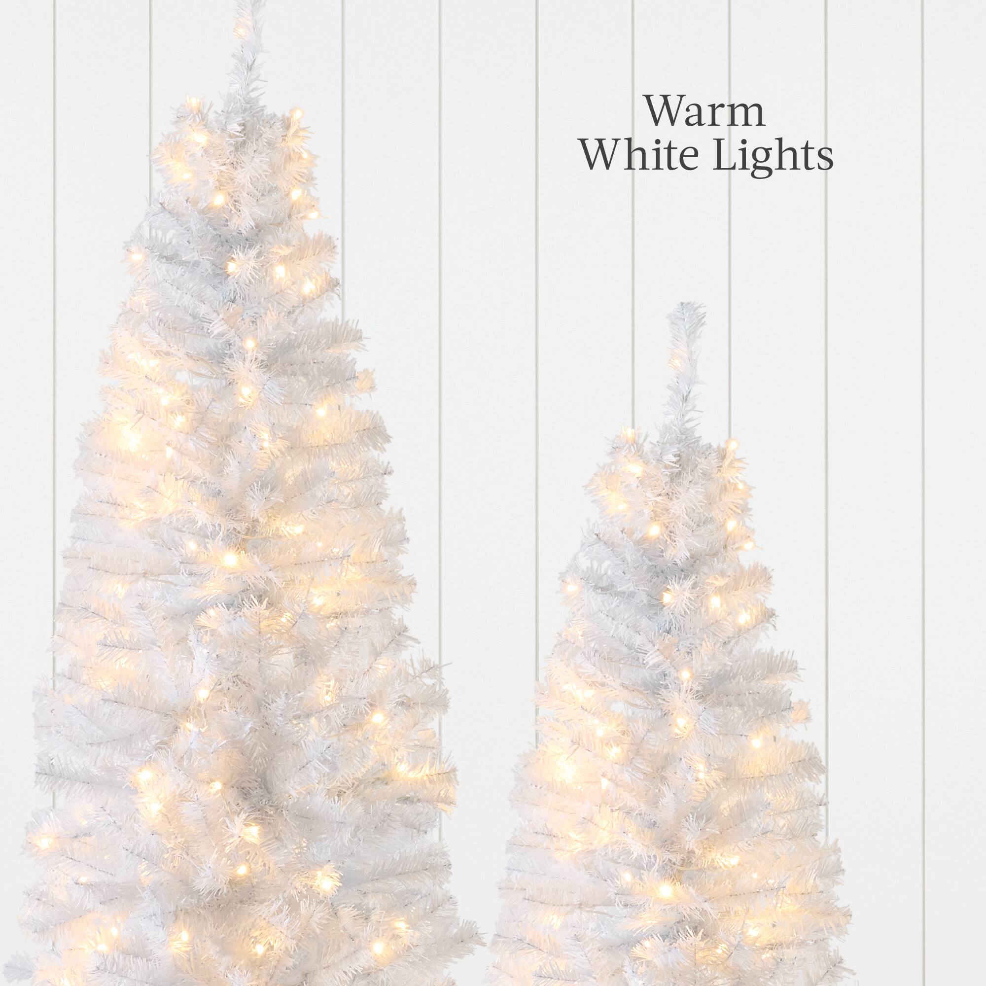 Warm White Lights