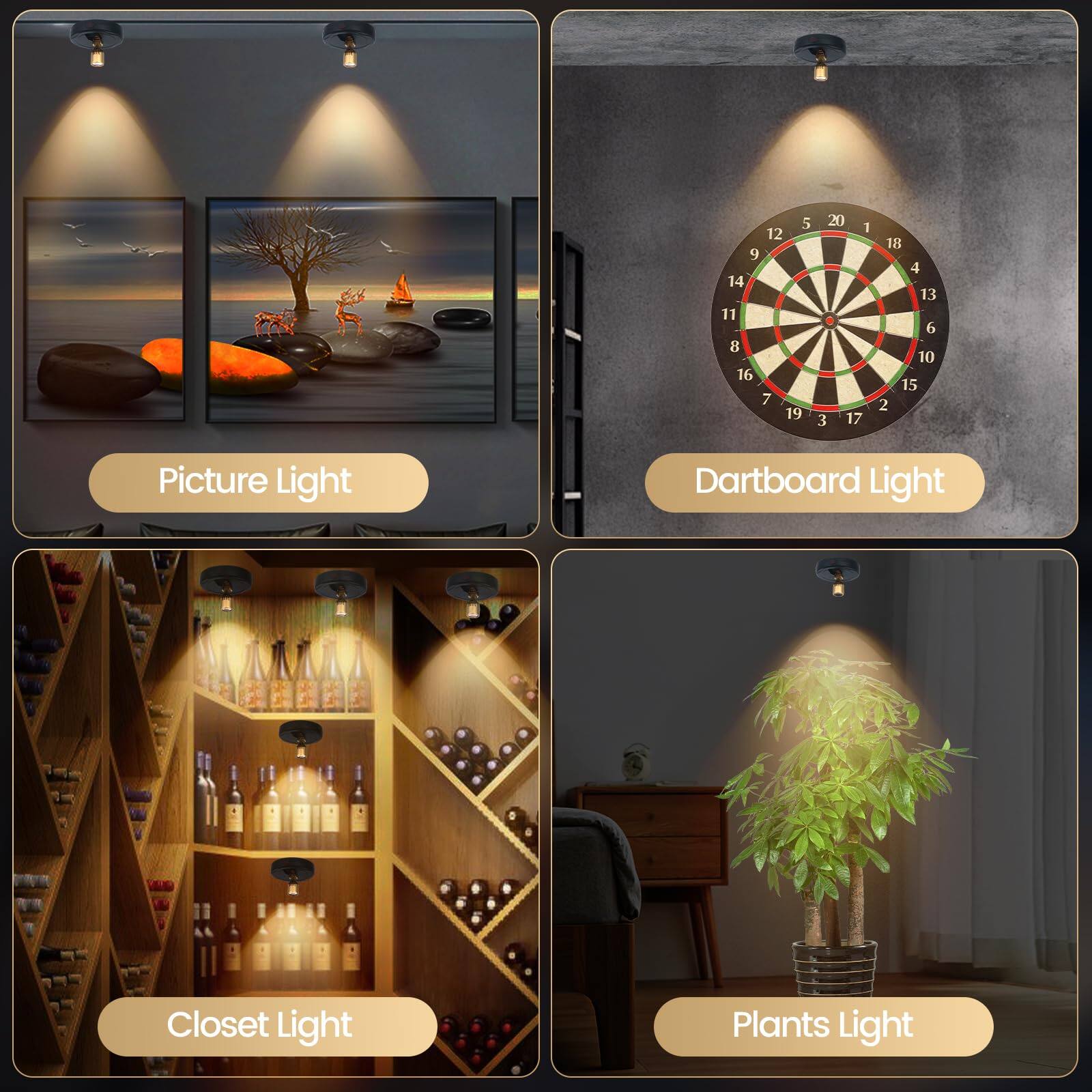Picture Light  
Dartboard Light  
Closet Light  
Plants Light