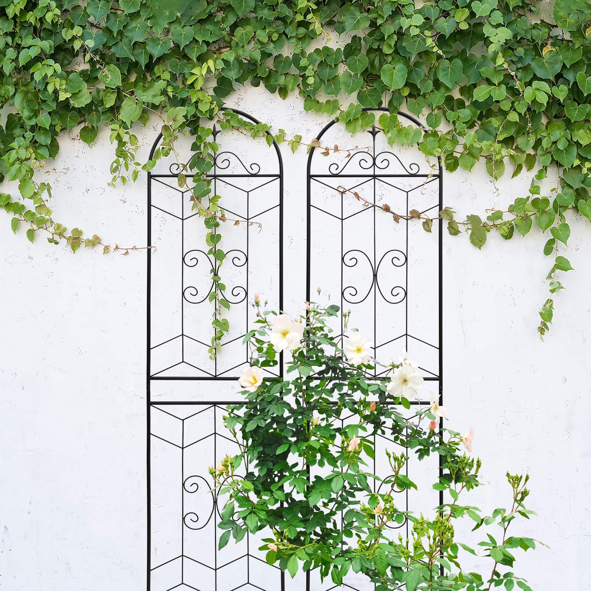 Loheer - Rustproof Metal Garden Trellis 2 Pack, 7.2 ft x 1.6 ft Climbing Support - Black price history on PriceWatchPro