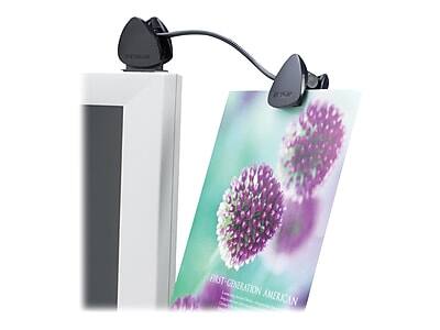 FIRST GENERATION AMERICAN