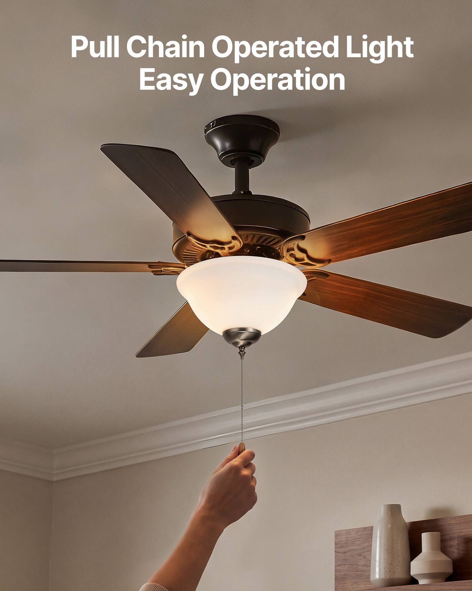 Pull Chain Operated Light  
Easy Operation