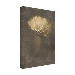 Trademark Fine Art - Cicek Kiral Mysterious Days Canvas Art - 12 x 19 Inches - 12x19 - Multicolor
