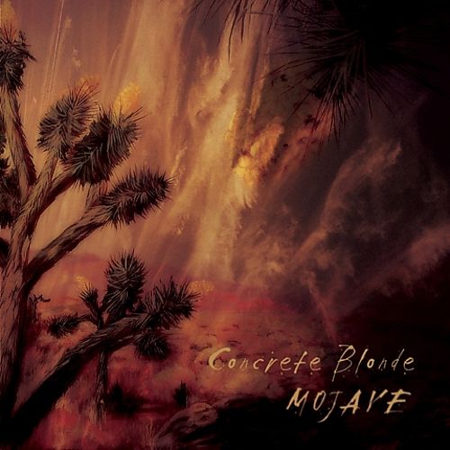 best-buy-mojave-cd