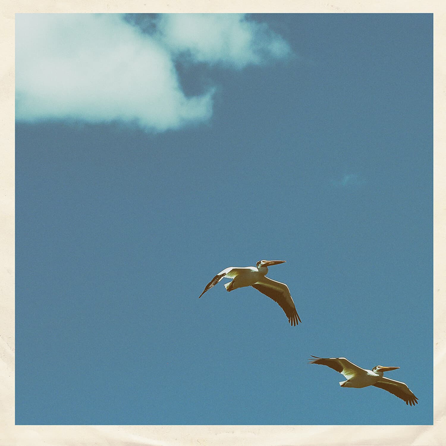 Sim Nagai - Palm Dreams   - 7-INCH SINGLE [7 inch Vinyl Disc]