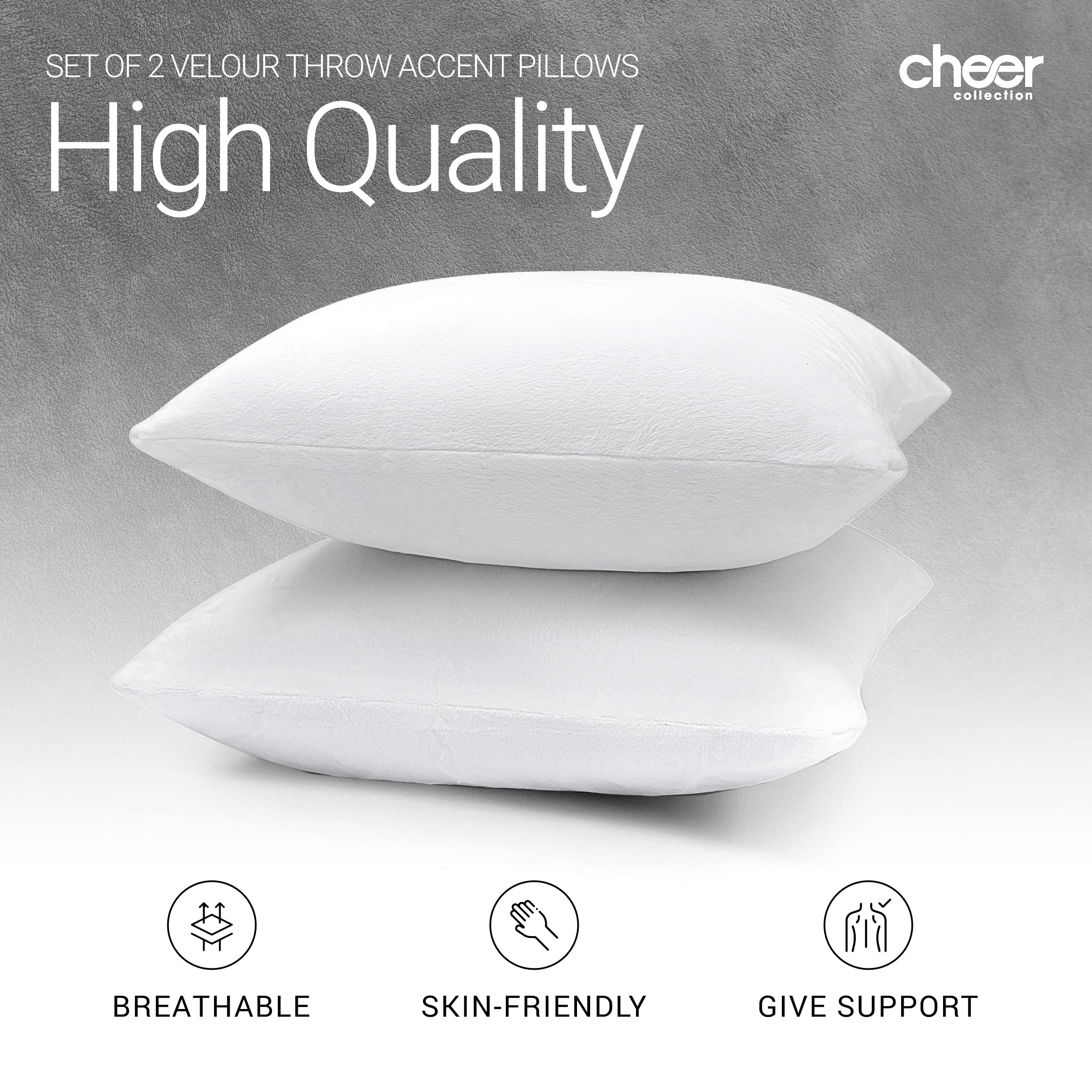 SET OF 2 VELOUR THROW ACCENT PILLOWS  
High Quality  
cheer collection  
BREATHABLE SKIN-FRIENDLY  
GIVE SUPPORT