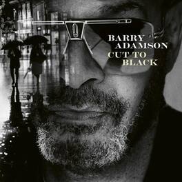 Barry Adamson - Cut To Black - VINYL LP