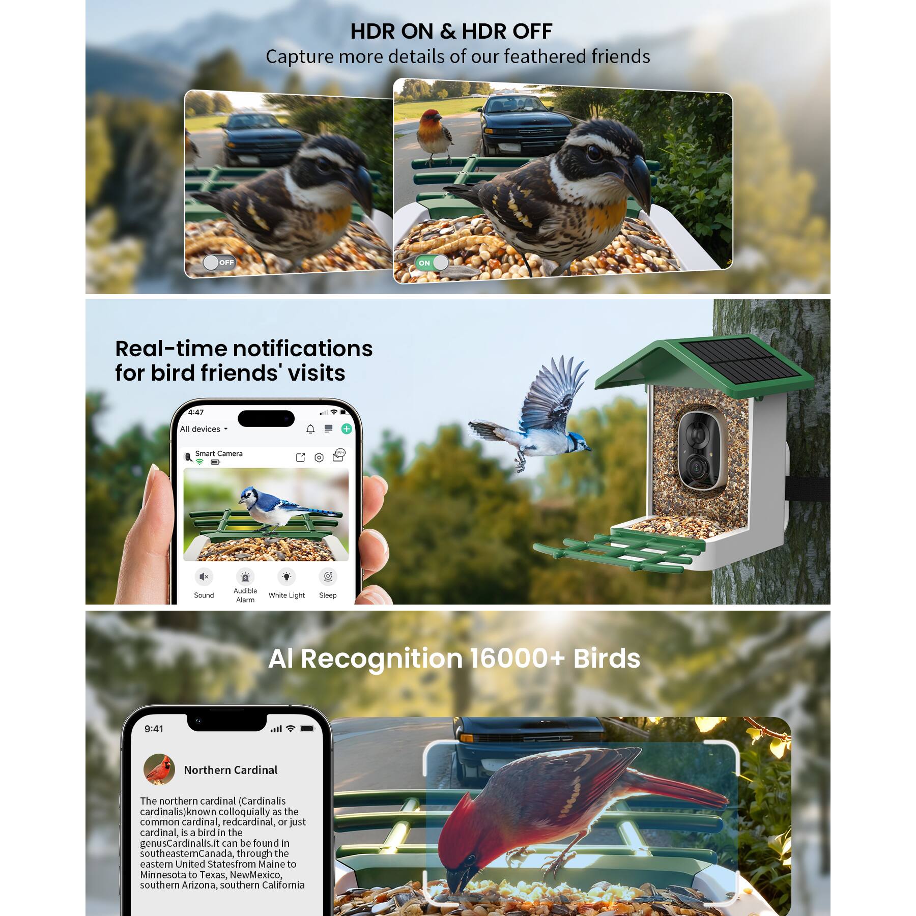 Sure, here is the corrected and grouped text from the image:

---

**HDR ON & HDR OFF**  
Capture more details of our feathered friends

**Real-time notifications for bird friends' visits**

**AI Recognition 16000+ Birds**

---

**Northern Cardinal**  
The northern cardinal (Cardinalis cardinalis) known colloquially as the common cardinal, red cardinal, or just cardinal, is a bird in the genus Cardinalis. It can be found in southeastern Canada, through the eastern United States from Maine to Minnesota to Texas, New Mexico, southern Arizona, southern California.

---

**Features:**
- Smart Camera
- Sound Alarm
- White Light Alarm
- Sleep Mode

---

**Devices:**
- All devices

---

**Time:**
- 9:41

---