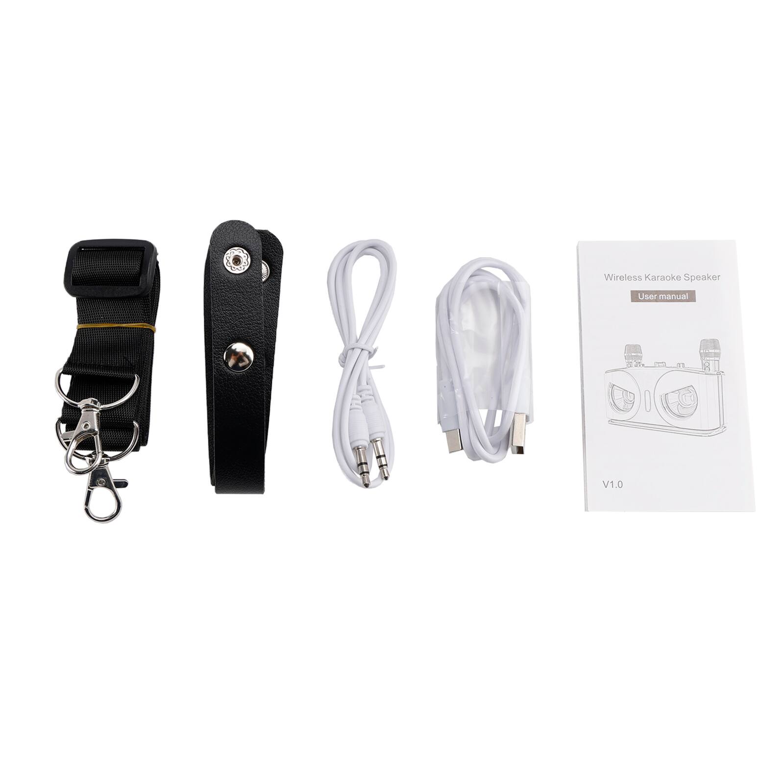 Wireless Karaoke Speaker  
User manual  
V1.0