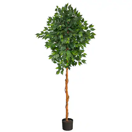 Front. BreeBe - 6' Ficus Artificial Tree - Green.