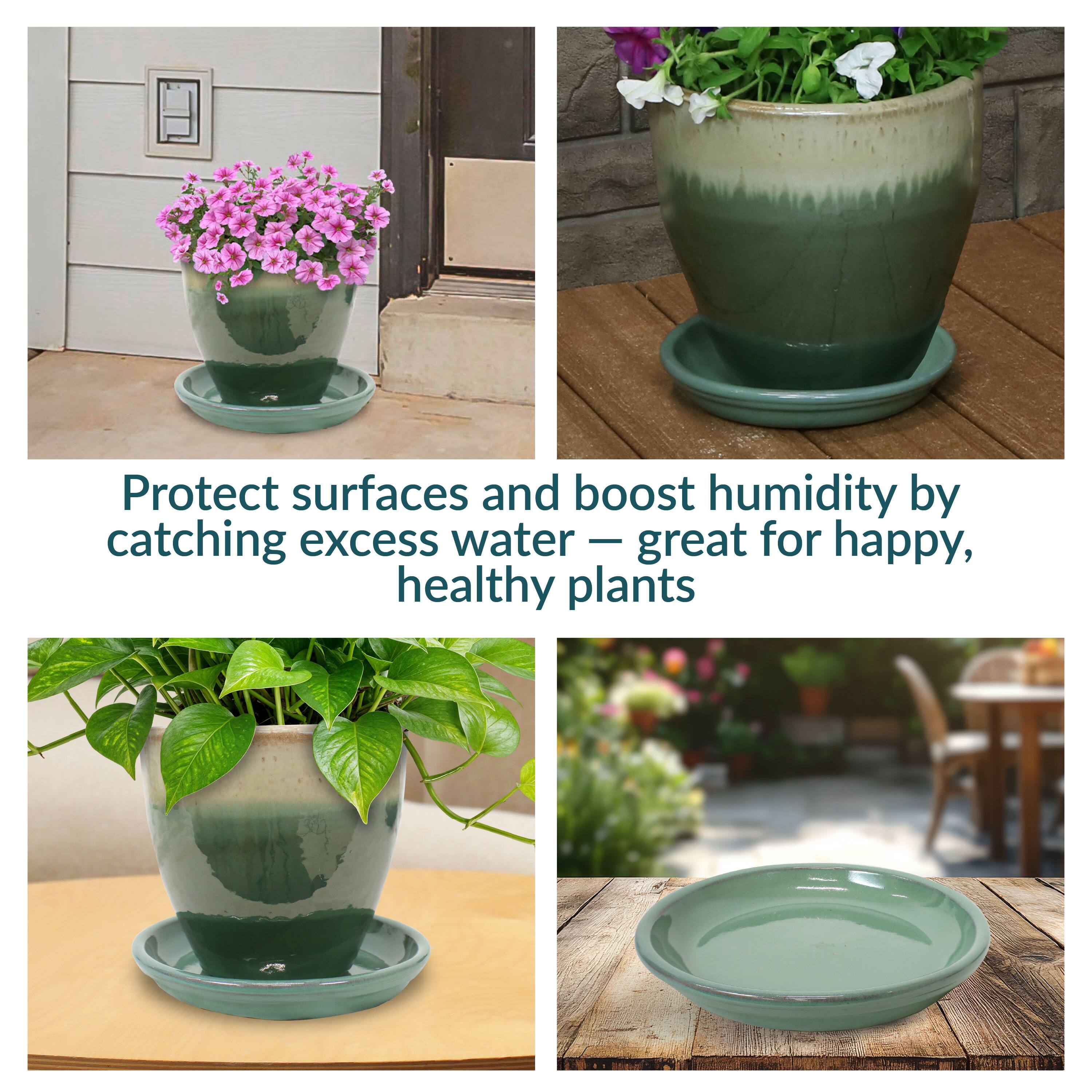 Protect surfaces and boost humidity by catching excess water — great for happy, healthy plants