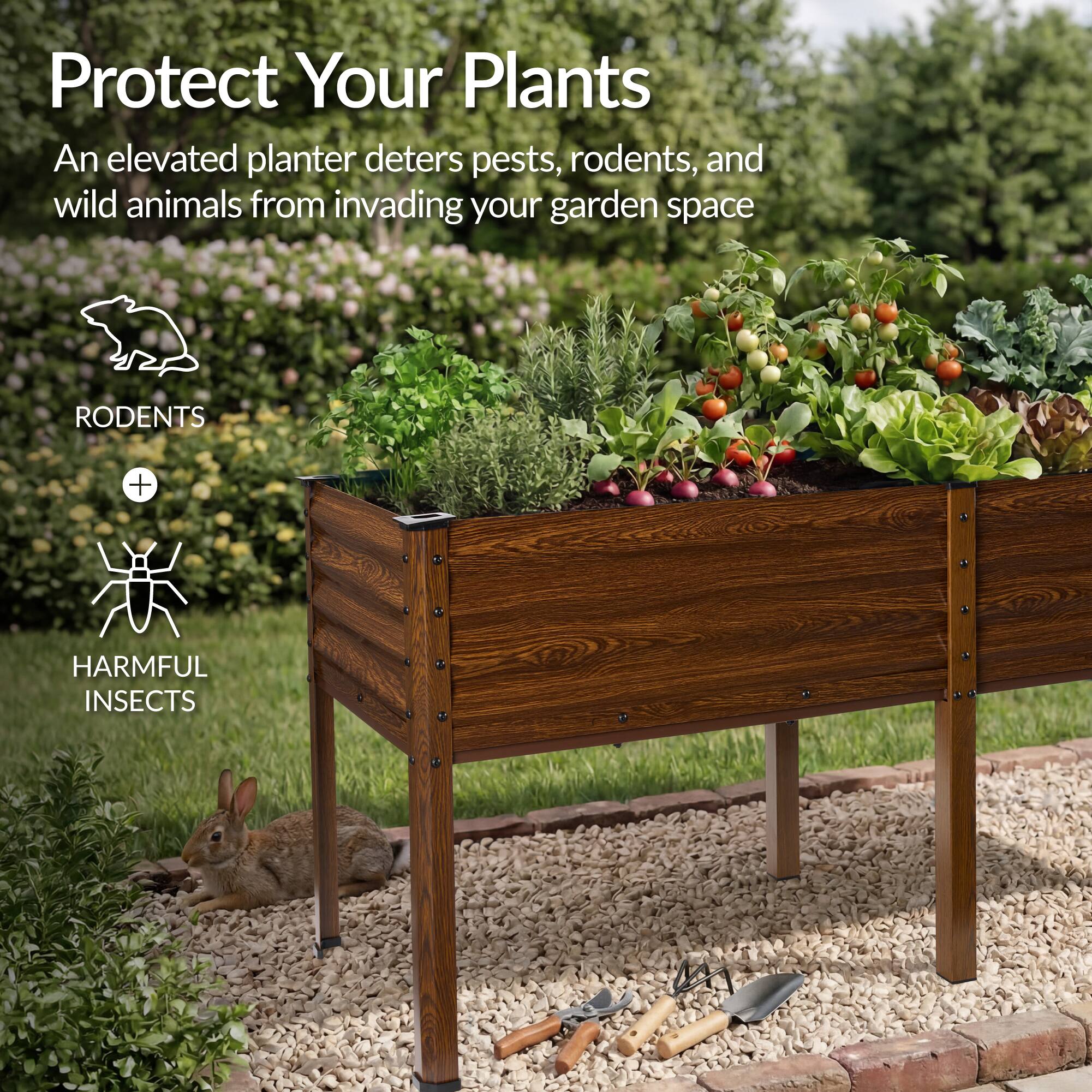 Protect Your Plants

An elevated planter deters pests, rodents, and wild animals from invading your garden space

RODENTS + HARMFUL INSECTS