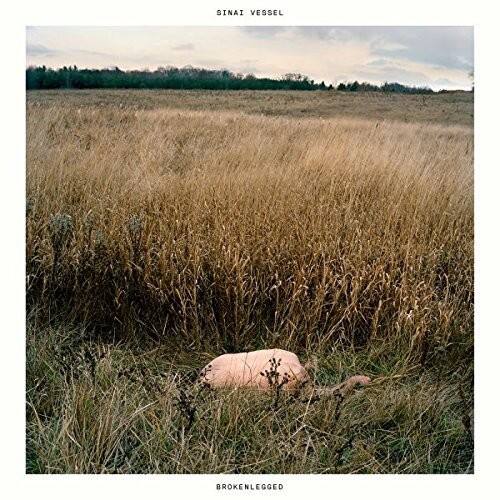 Sinai Vessel - Brokenlegged   - COMPACT DISCS [CD] price history on PriceWatchPro
