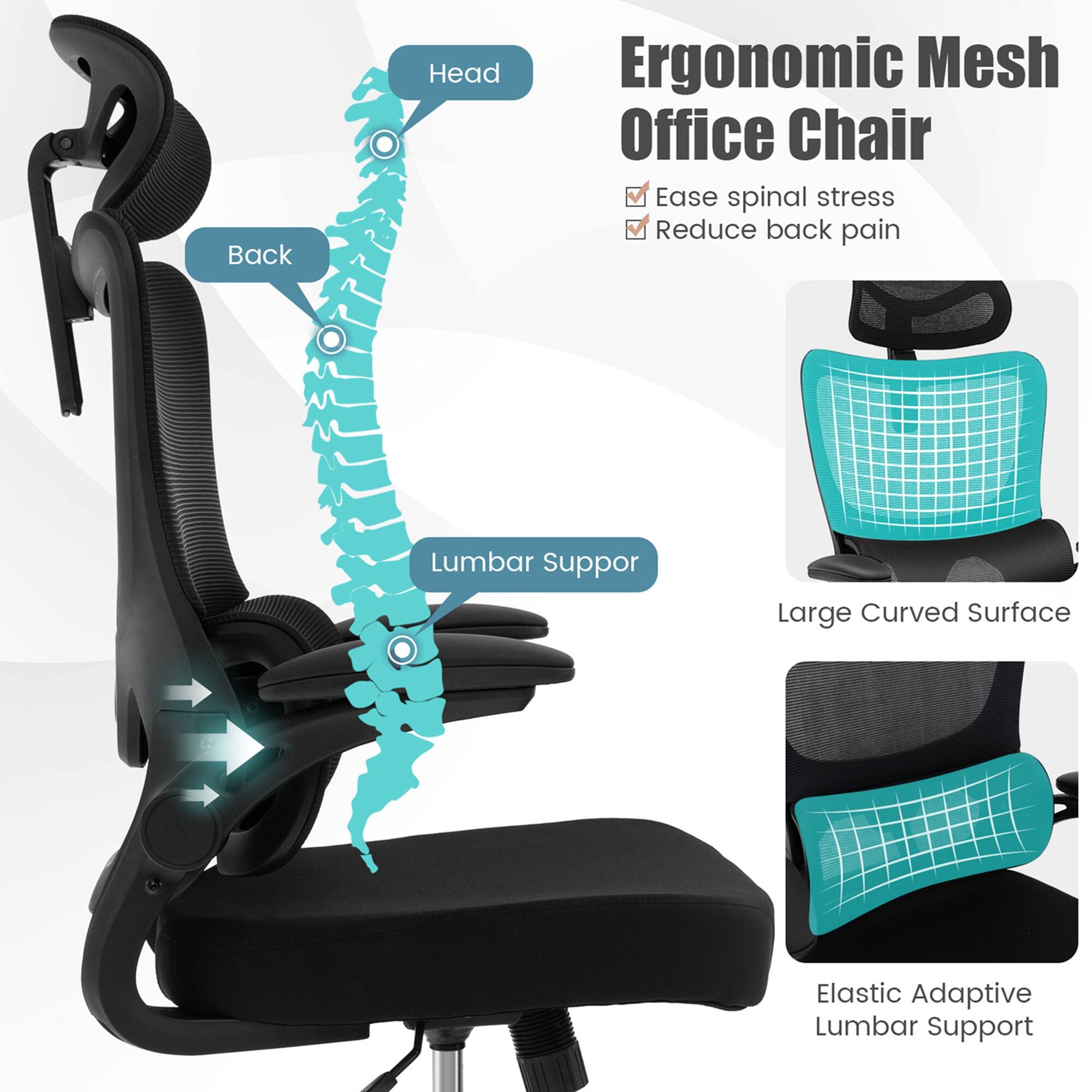 Ergonomic Mesh Office Chair: Ease spinal stress, Reduce back pain, Lumbar Suppor, Large Curved Surface, Elastic Adaptive Lumbar Support.