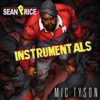Mic Tyson [LP] - VINYL - Front_Zoom