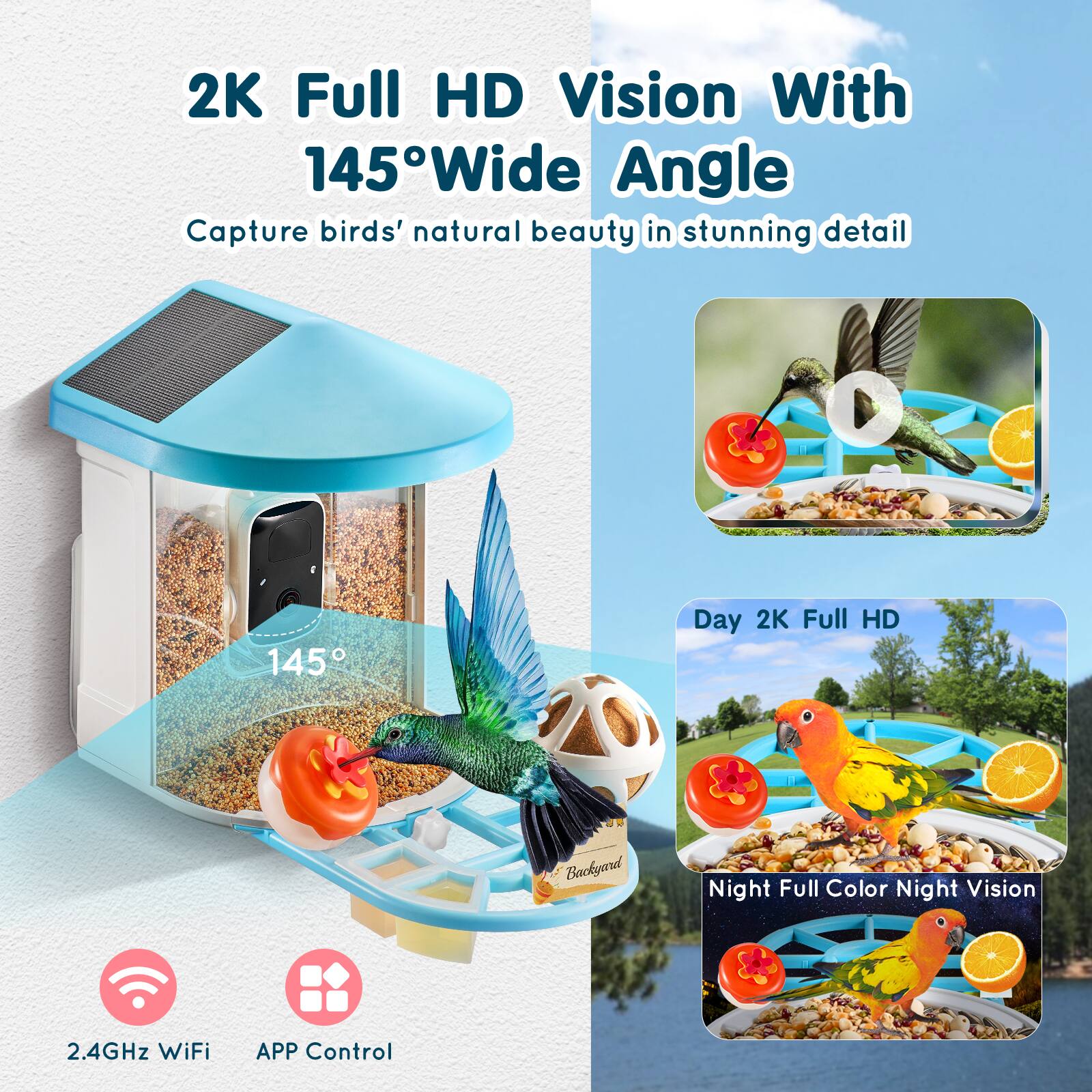 2K Full HD Vision With 145° Wide Angle  
Capture birds' natural beauty in stunning detail  

Day 2K Full HD  
Night Full Color Night Vision  

2.4GHz WiFi  
APP Control