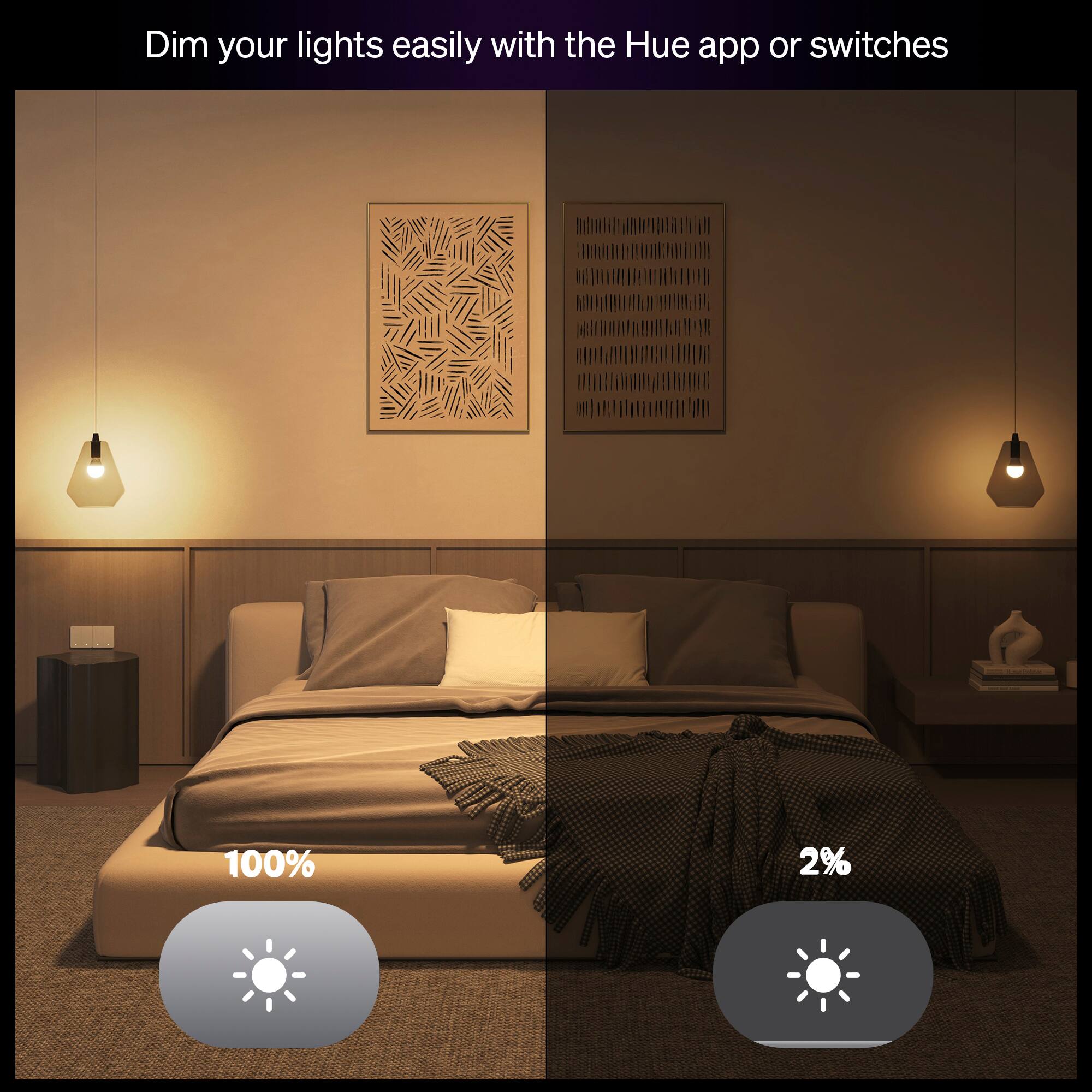 Dim your lights easily with the Hue app or switches

100%

2%