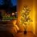 You can choose the decorative light strips by yourself.