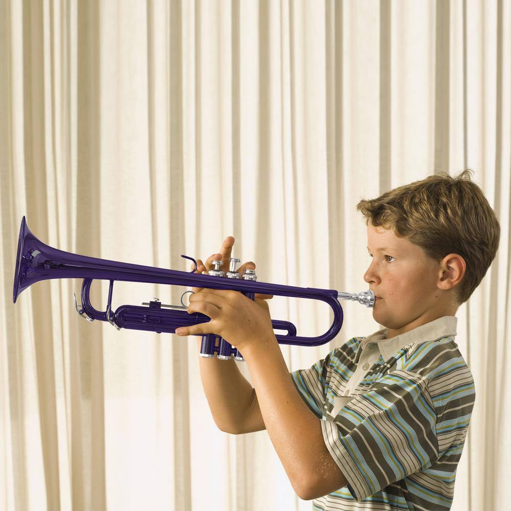 Angle. Winado - Bb Standard Trumpet for Beginners,Trumpet for Student with Hard Case,7C Mouthpiece,Cleaning Cloth,Gloves,Brass Instrumen - Purple.