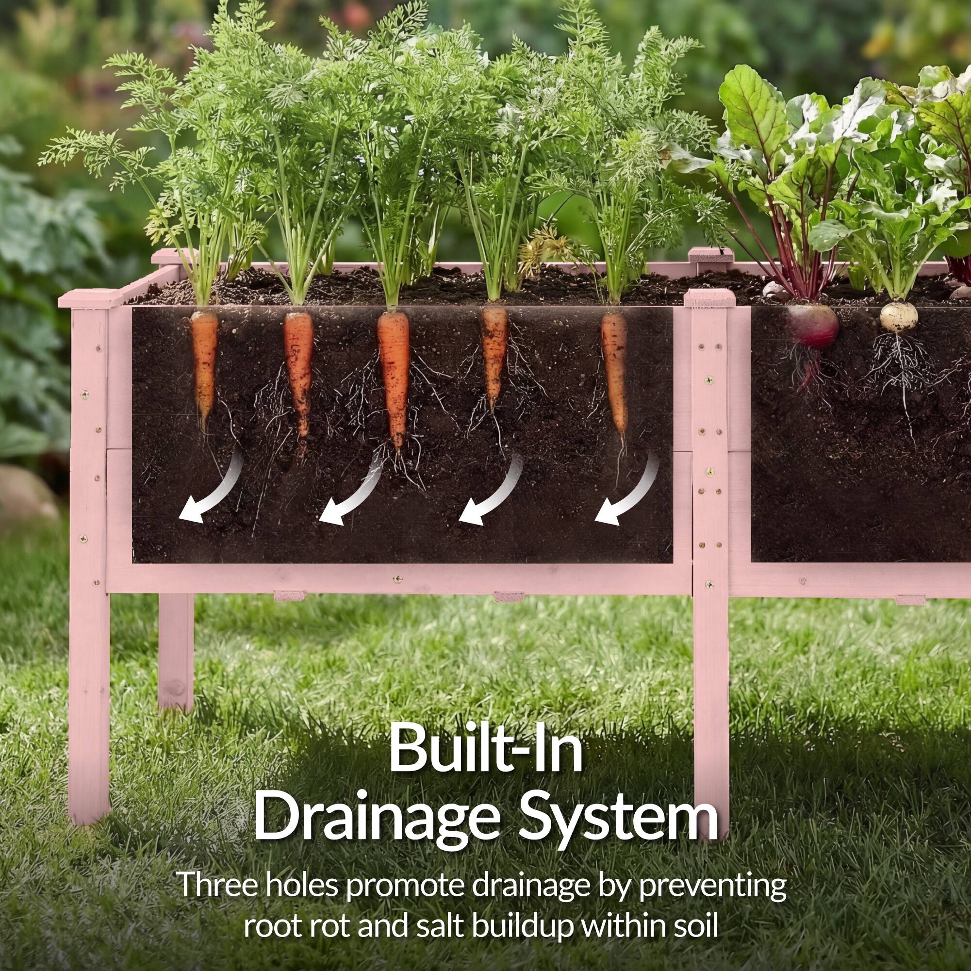 Built-In Drainage System

Three holes promote drainage by preventing root rot and salt buildup within soil