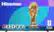 Hisense QLED QD6
FIFA WORLD CUP™ 2022
OFFICIAL SPONSOR