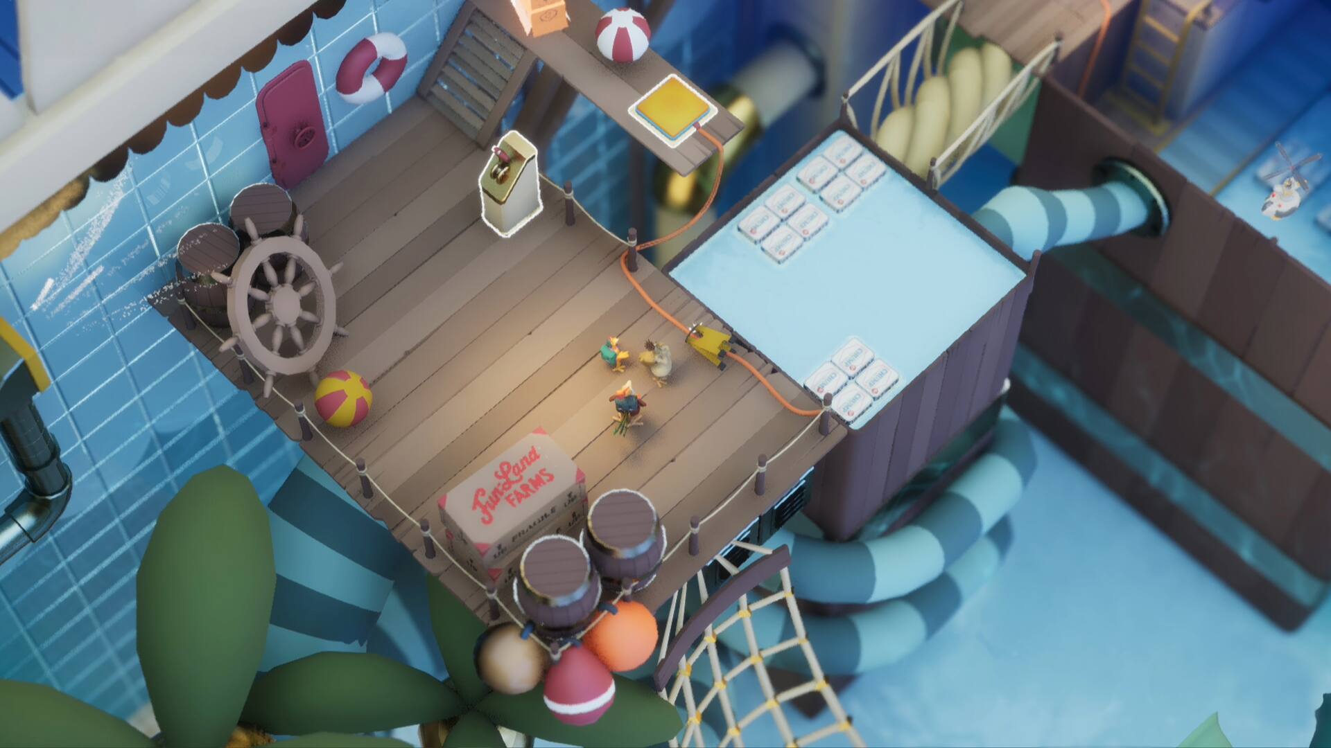 Funland C Farm's Premium Lettuce