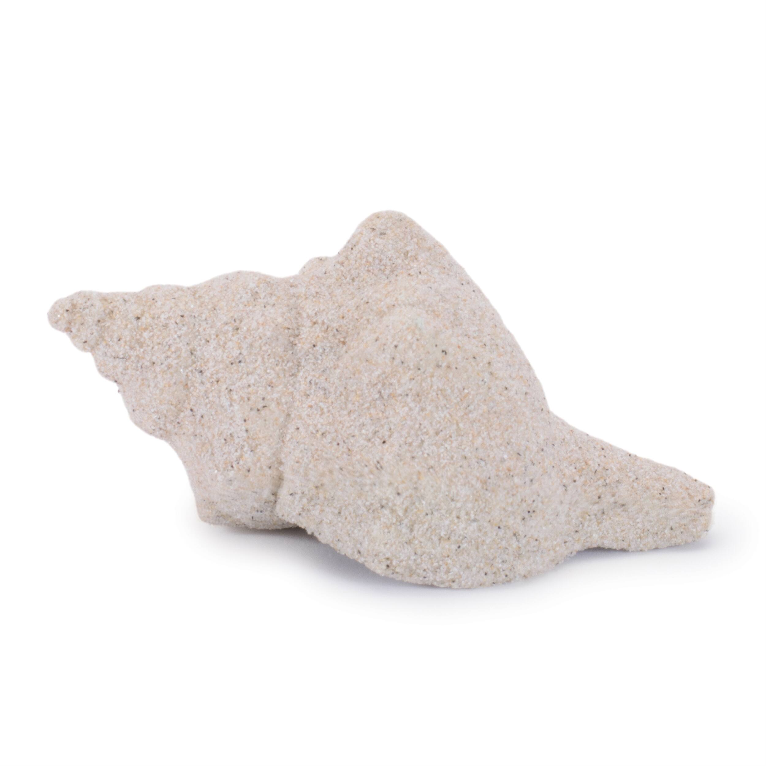 Alt View 1. BreeBe - Sea Shell Filler Decor (Set of 12) - Beige.