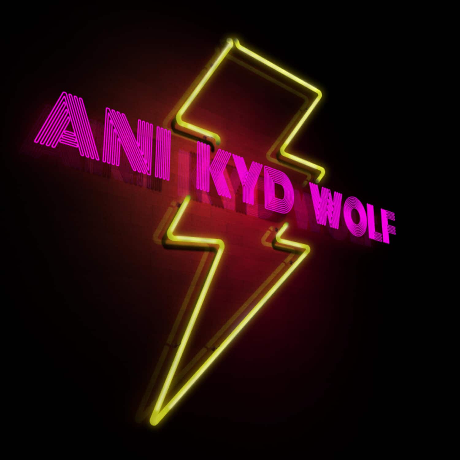 Ani Kyd Wolf - Last Steps Of Man-un-kind  - COMPACT DISCS