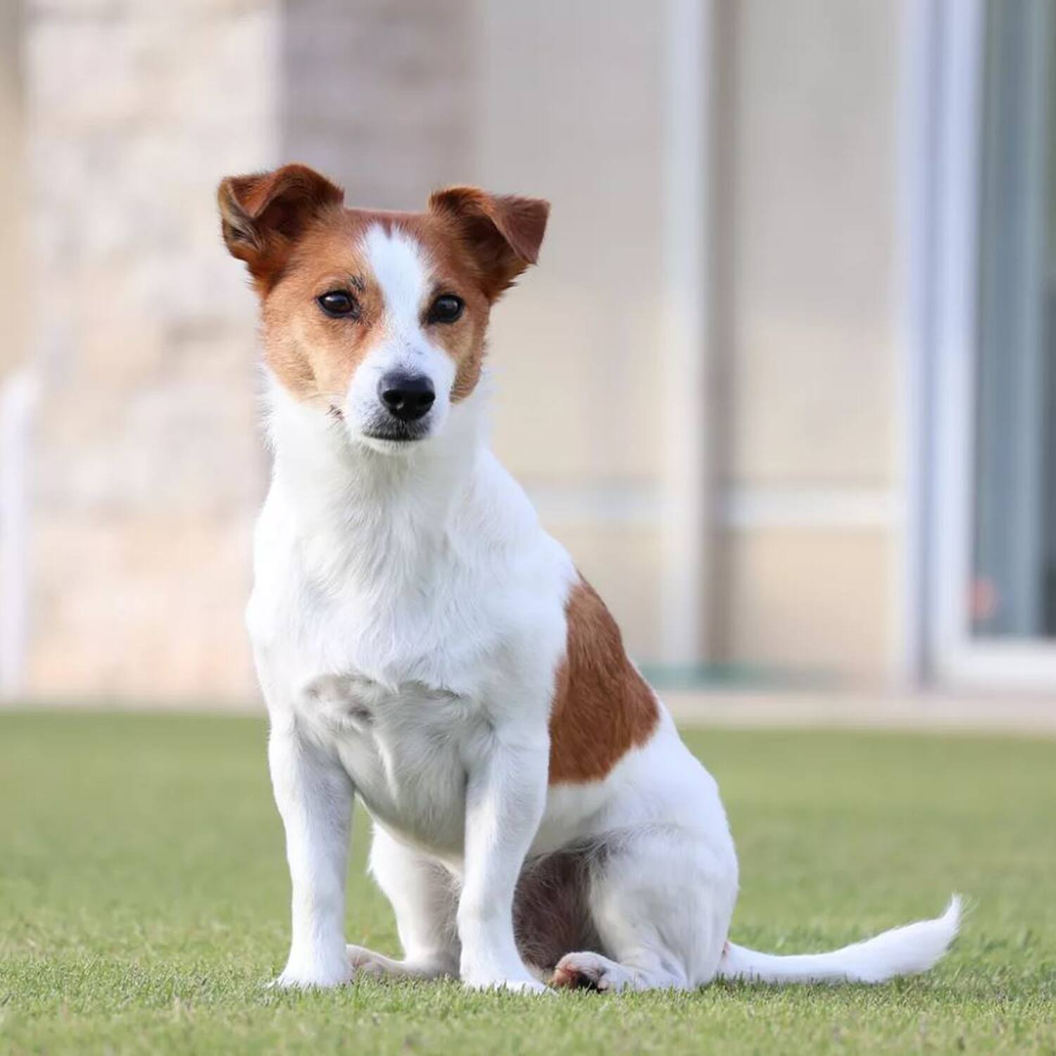 Alt View 1. Canon - EOS R50 Mirrorless Camera Black + 18-45mm IS STM Lens Kit Essential Bundle.