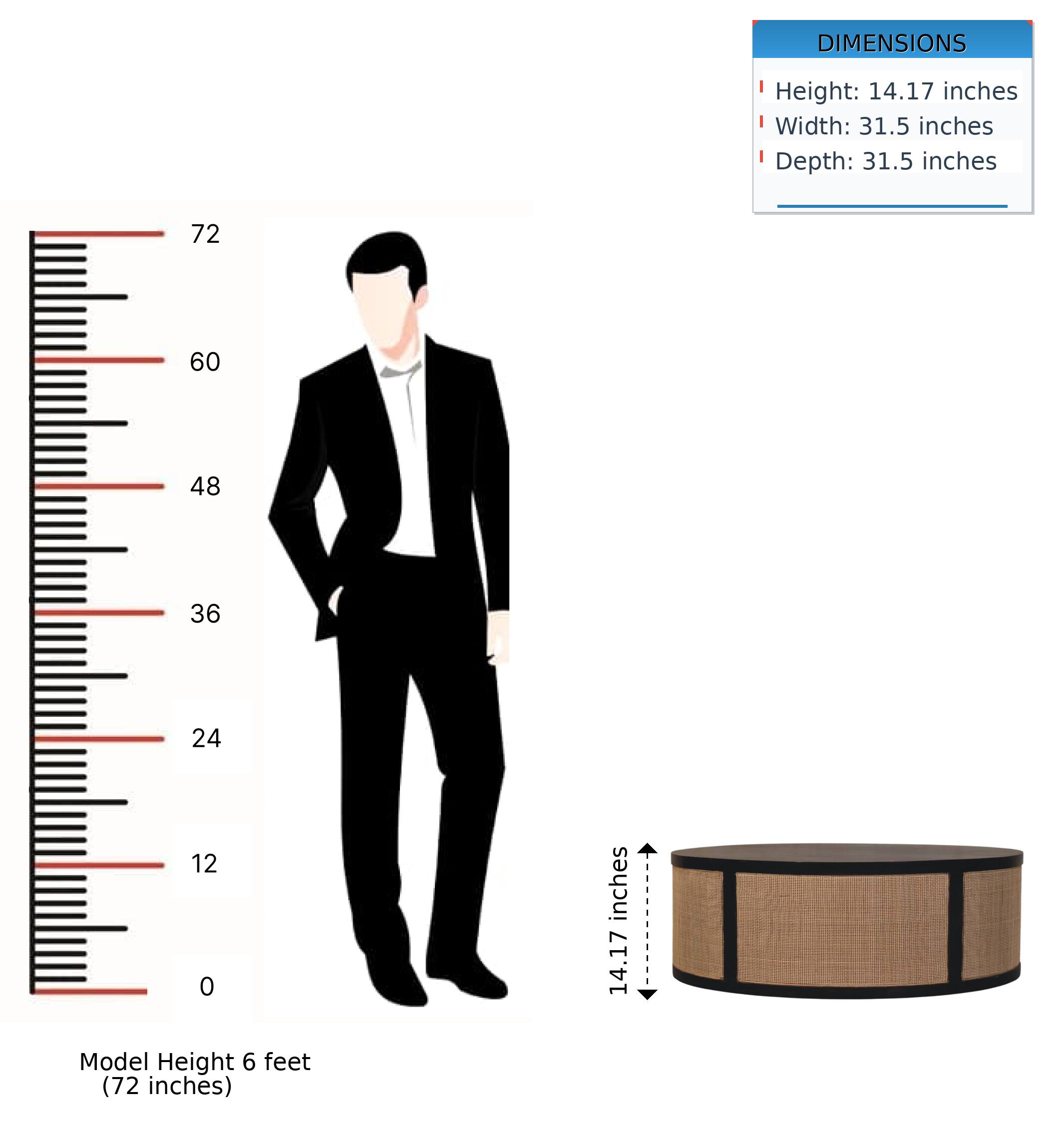 DIMENSIONS  
Height: 14.17 inches  
Width: 31.5 inches  
Depth: 31.5 inches  

Model Height 6 feet (72 inches)