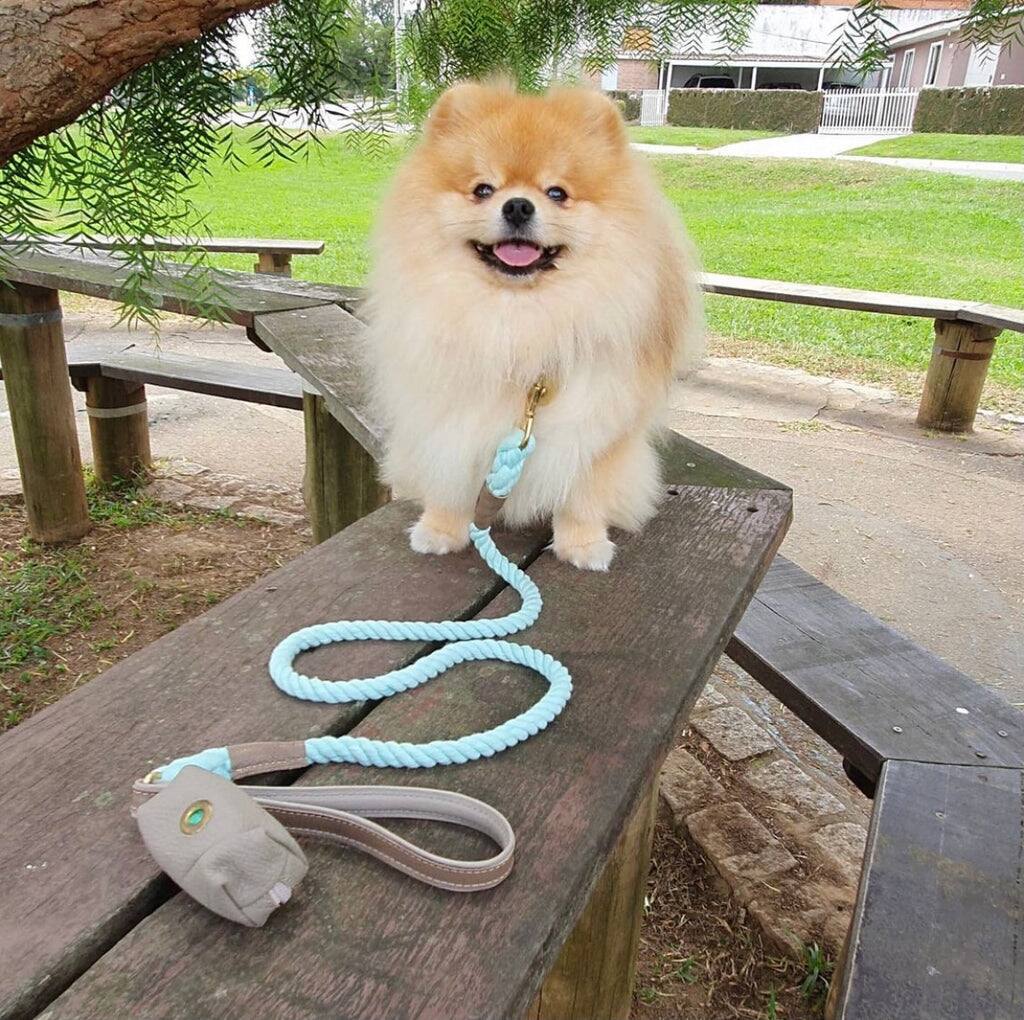 Left. PoisePup - PoisePup Pet Dog 5ft Long Leash - Brown | Gray.