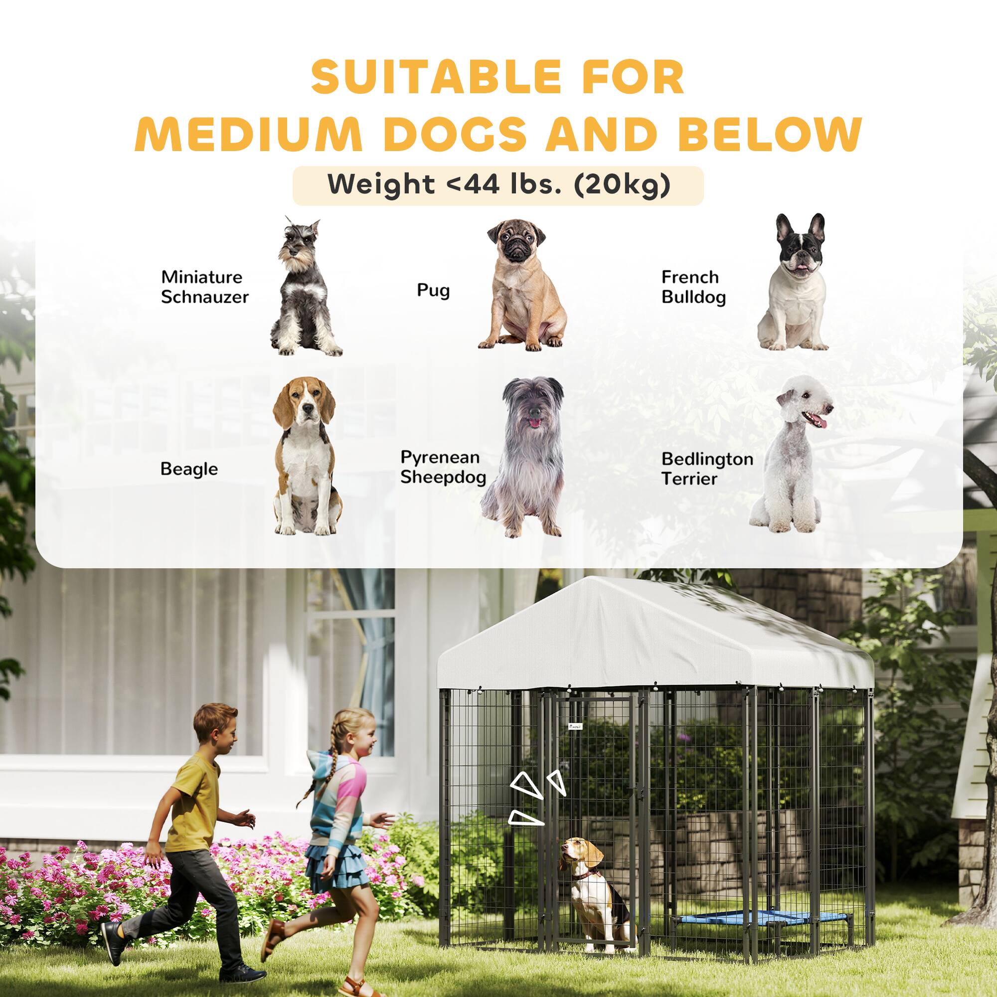 SUITABLE FOR  
MEDIUM DOGS AND BELOW  
Weight <44 lbs. (20kg)  

- Miniature Schnauzer  
- Pug  
- French Bulldog  
- Beagle  
- Pyrenean Sheepdog  
- Bedlington Terrier